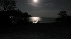Лунная ночь в селе Весёлое